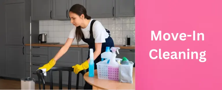 Move in cleaning service